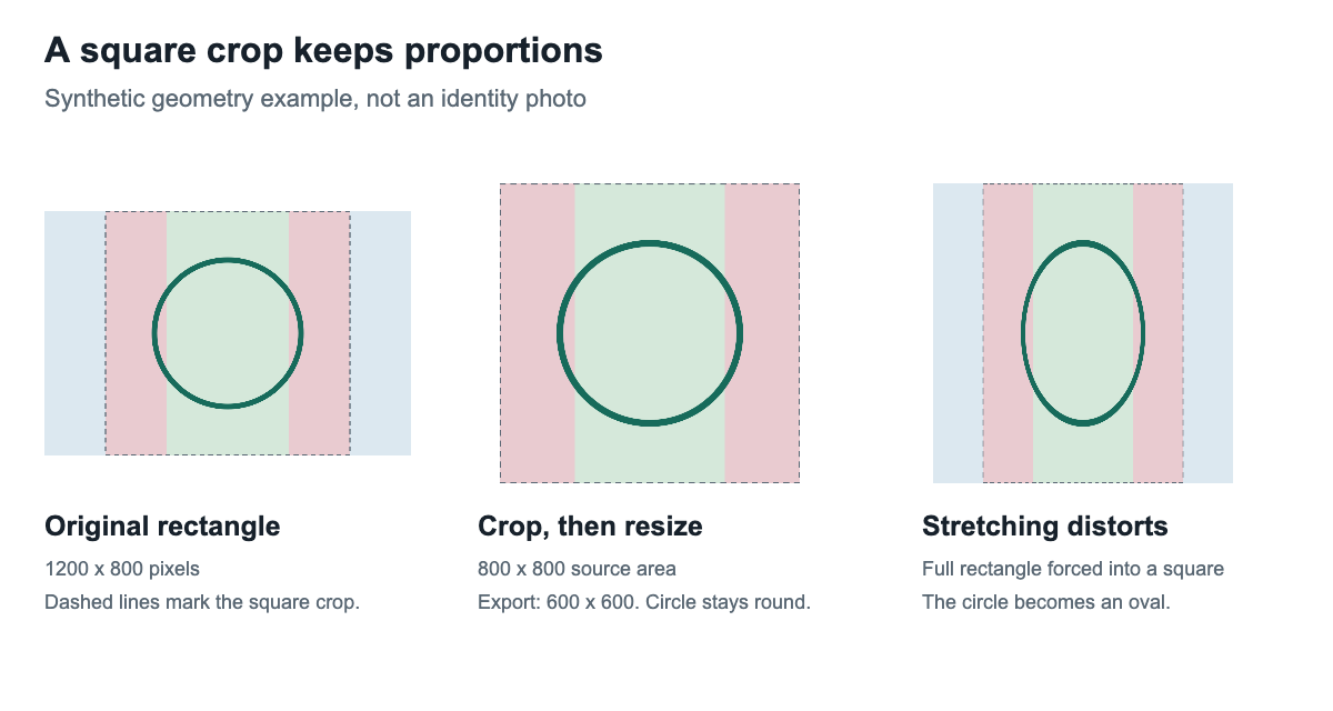 Synthetic rectangle with a round circle: square cropping preserves the circle while stretching turns it into an oval.
